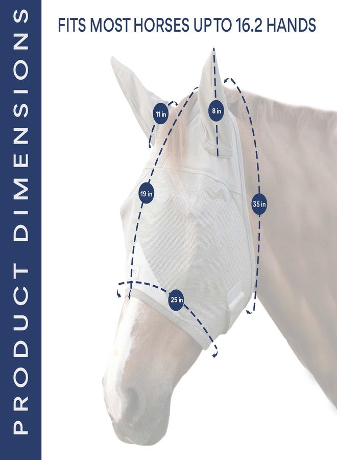 TUFFTEQ Horse Fly Mask with Ears - Built-in Visor - Breathable, Lightweight Mask - 95% UV Eye Protection - Adjustable Fit for Comfort Horse Medium/Large Size - Image 2